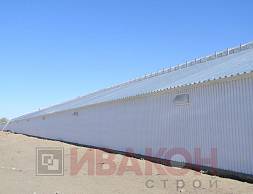 Телятник 2380 кв.м.